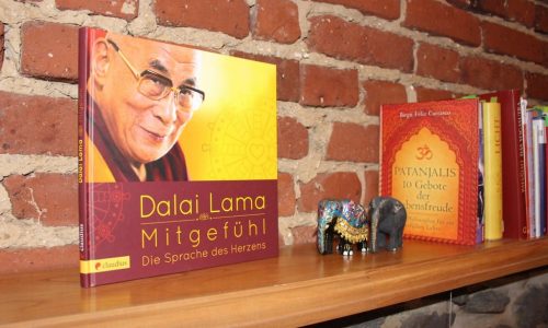 Buch von Dalai Lama auf Regal